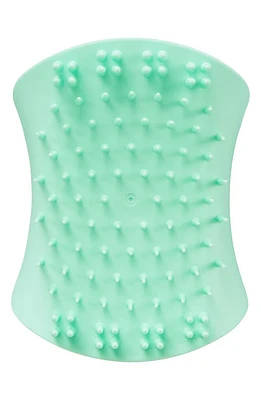 Tangle Teezer The Scalp Exfoliator & Massager Brush in Mint at Nordstrom