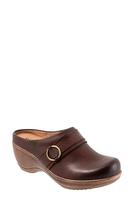 SoftWalk Macintyre Clog Dark Brown at Nordstrom,