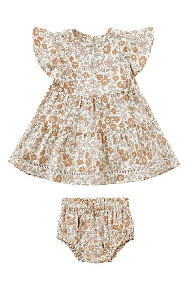 QUINCY MAE Lily Floral Flutter Sleeve Organic Cotton Dress & Bloomers Garden at Nordstrom,