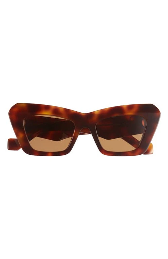 Loewe Anagram Cat Eye Sunglasses in Havana at Nordstrom