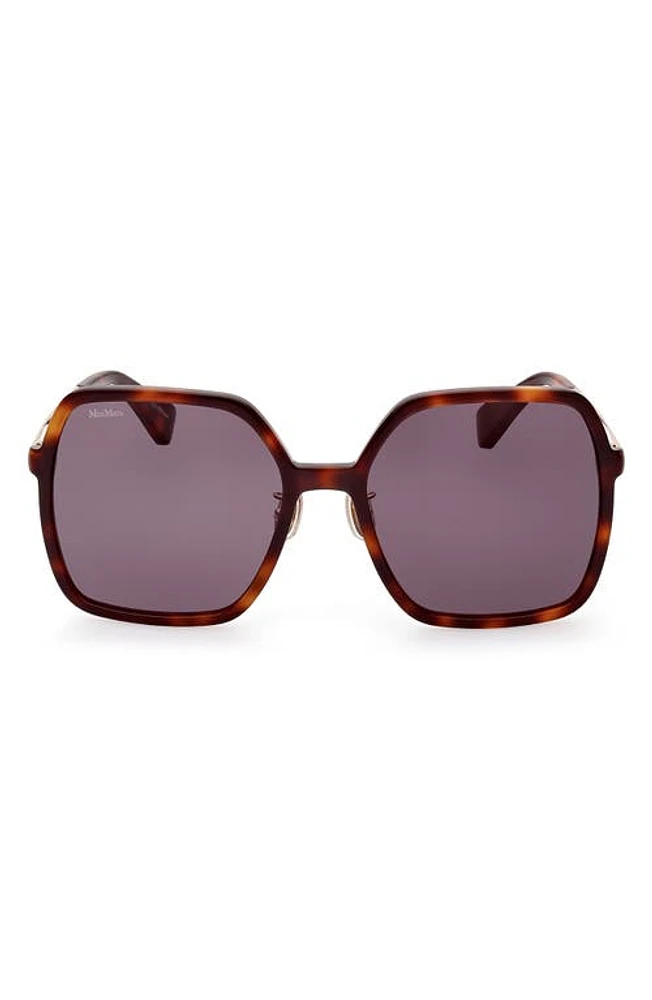 Max Mara 59mm Square Sunglasses in Dark Havana /Smoke at Nordstrom