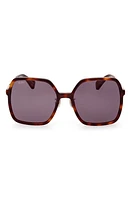 Max Mara 59mm Square Sunglasses in Dark Havana /Smoke at Nordstrom