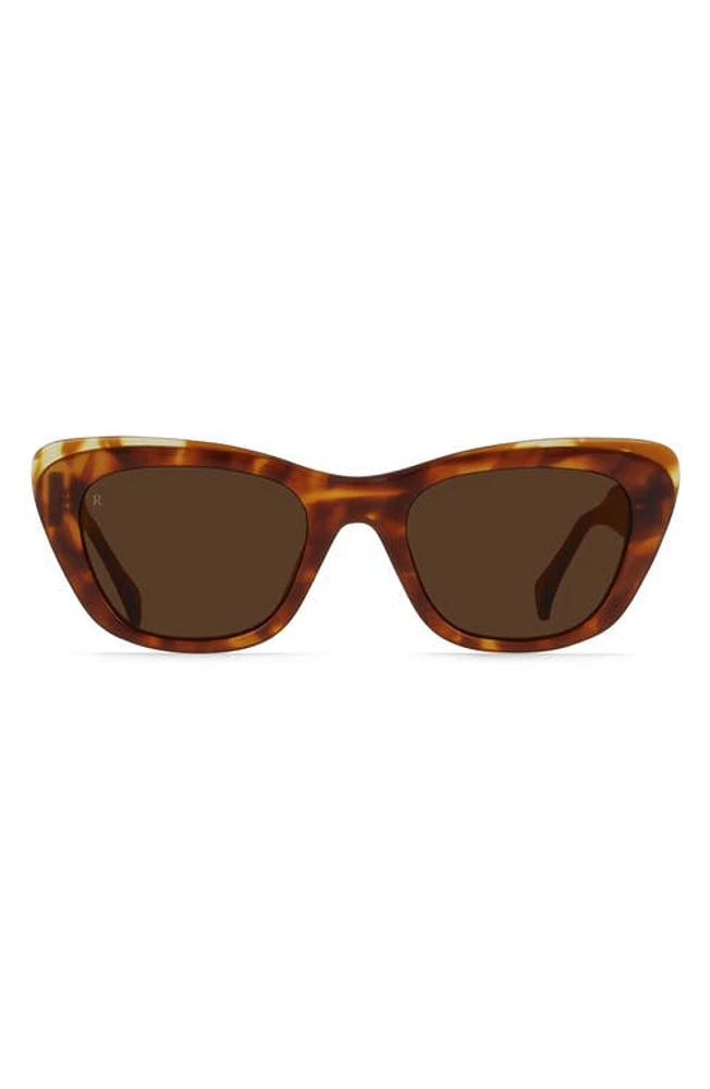 RAEN Kimma 52mm Polarized Cat Eye Sunglasses in Tortoise at Nordstrom