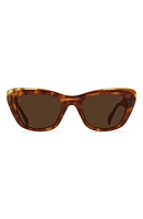 RAEN Kimma 52mm Polarized Cat Eye Sunglasses in Tortoise at Nordstrom