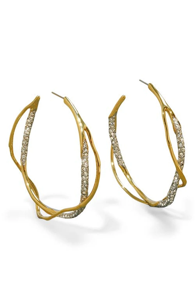 Alexis Bittar Intertwined Pavé Crystal Hoop Earrings in Champagne at Nordstrom