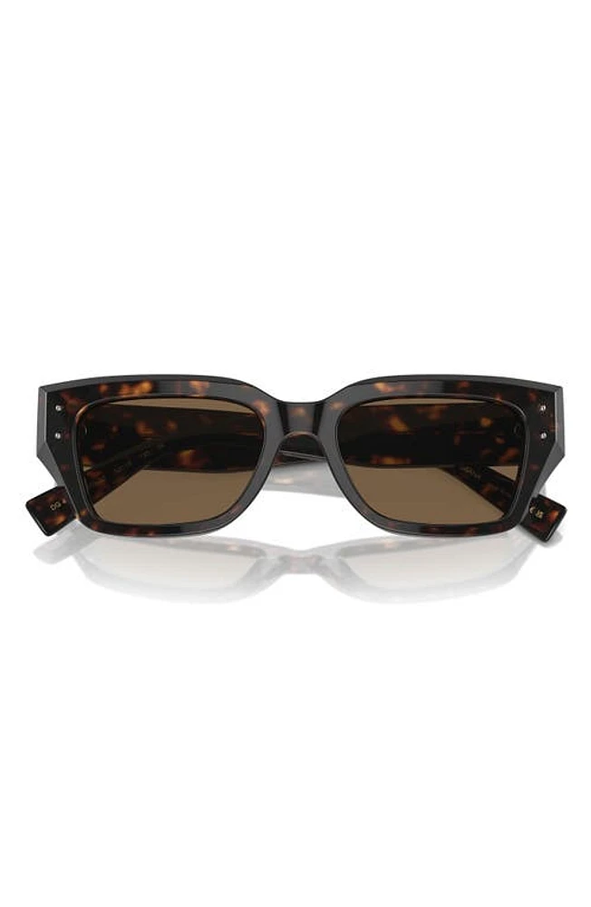 Dolce & Gabbana 52mm Cat Eye Sunglasses in Havana at Nordstrom