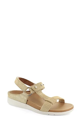 STRIVE Antigua Sandal in Gold Sparkle at Nordstrom, Size 9