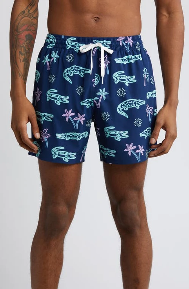 Chubbies Classic Lined 5.5-Inch Swim Trunks The Neon Glades at Nordstrom,