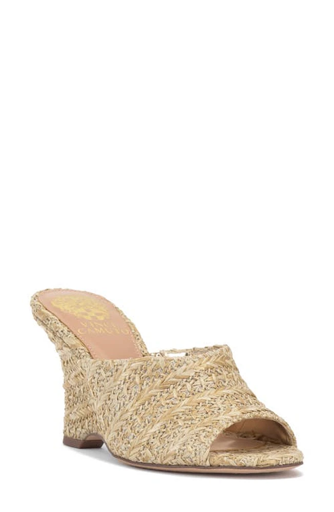 Vince Camuto Vilty Wedge Slide Sandal at Nordstrom,