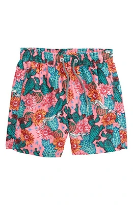 Boardies Kids' Cactus Eyeballs Graphic Swim Trunks Pink at Nordstrom,