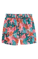 Boardies Kids' Cactus Eyeballs Graphic Swim Trunks Pink at Nordstrom,