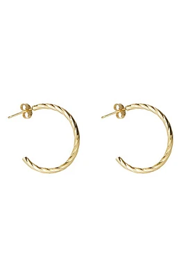 Argento Vivo Sterling Silver Rope Hoop Earrings in Gold at Nordstrom