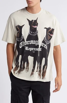 Represent Thoroughbred Cotton Graphic T-Shirt Vintage at Nordstrom,