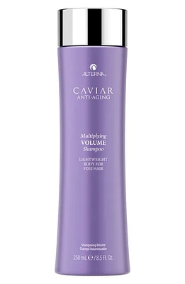 ALTERNA Caviar Anti-Aging Multiplying Volume Shampoo at Nordstrom, Size 8.5 Oz