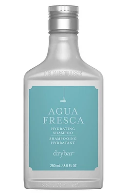 Drybar Agua Fresca Hydrating Shampoo at Nordstrom, Size 8.5 Oz