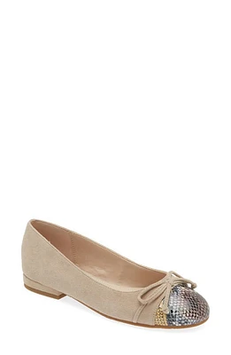 Pelle Moda Saida Ballet Flat at Nordstrom,