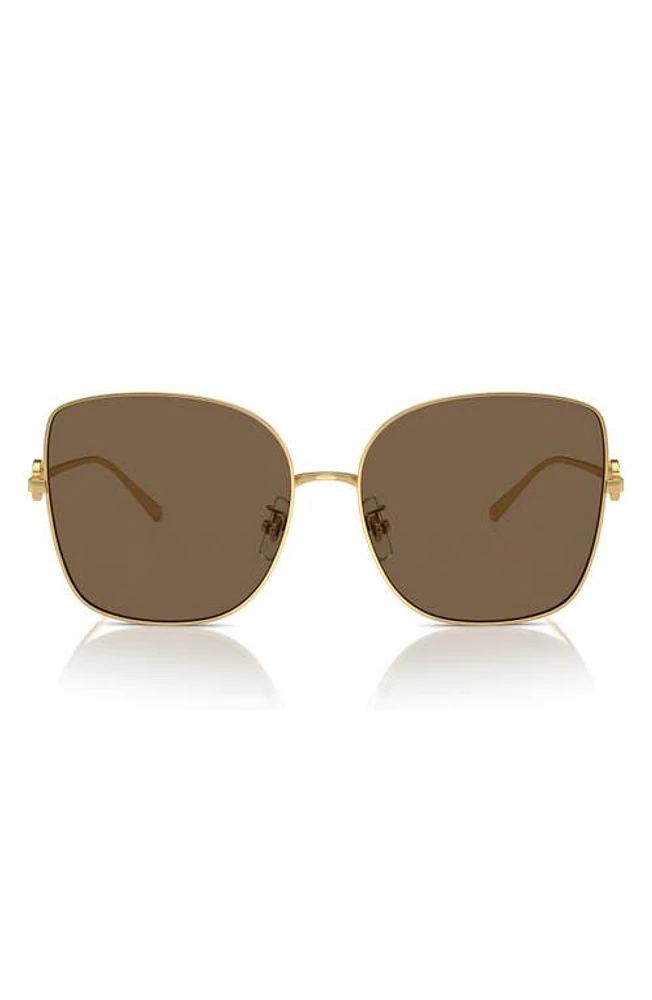 Tory Burch 60mm Oversize Butterfly Sunglasses in Gold/Gold at Nordstrom