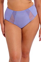 Elomi Brianna Briefs at Nordstrom,