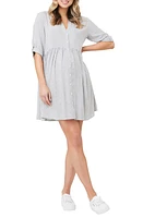 Sam Stripe Maternity/Nursing Dress at Nordstrom,