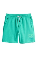 vineyard vines Kids' Shorts at