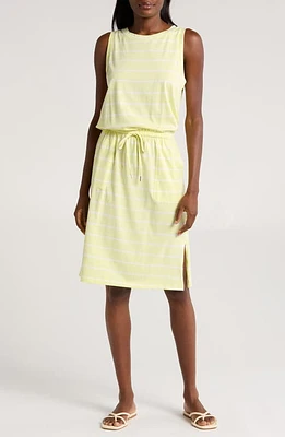 C & California Ira Sleeveless Cotton Blend Drawstring Belt Dress Green Stripe at Nordstrom,