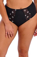 Elomi Matilda Full Figure Briefs Black Dot at Nordstrom,