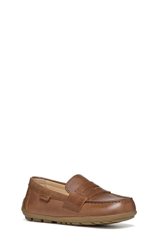 Geox Kids' New Fast Penny Loafer Coffee at Nordstrom,