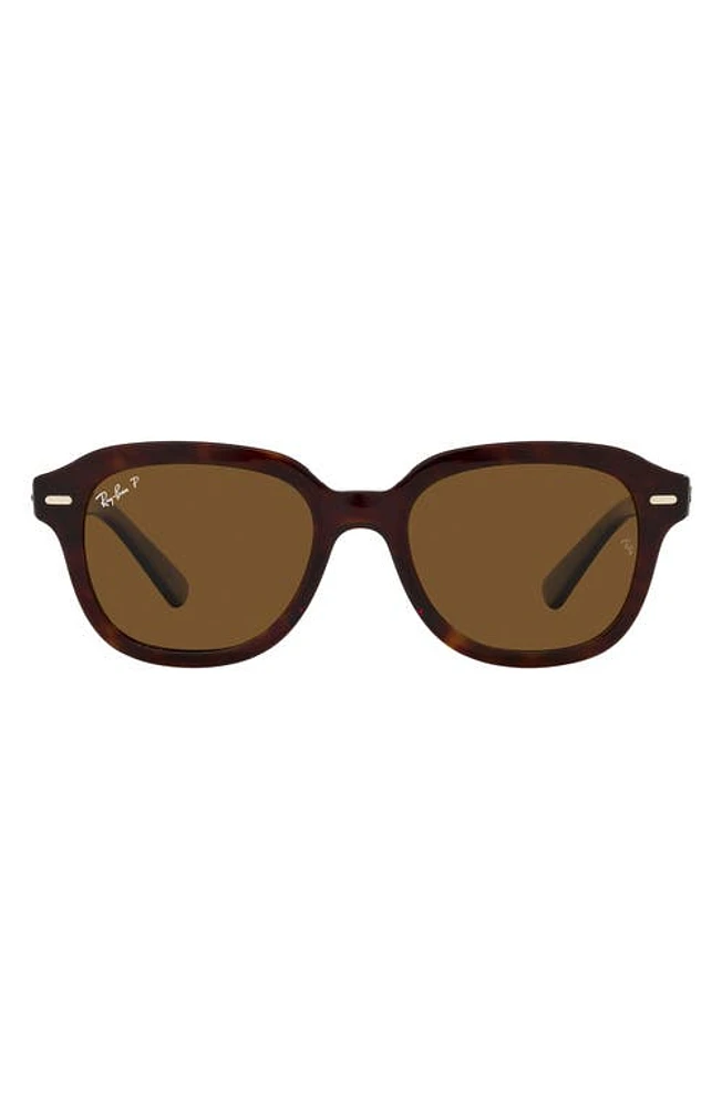 Ray-Ban Erik 53mm Polarized Square Sunglasses in Havana at Nordstrom