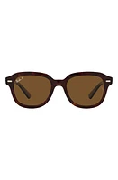 Ray-Ban Erik 53mm Polarized Square Sunglasses in Havana at Nordstrom