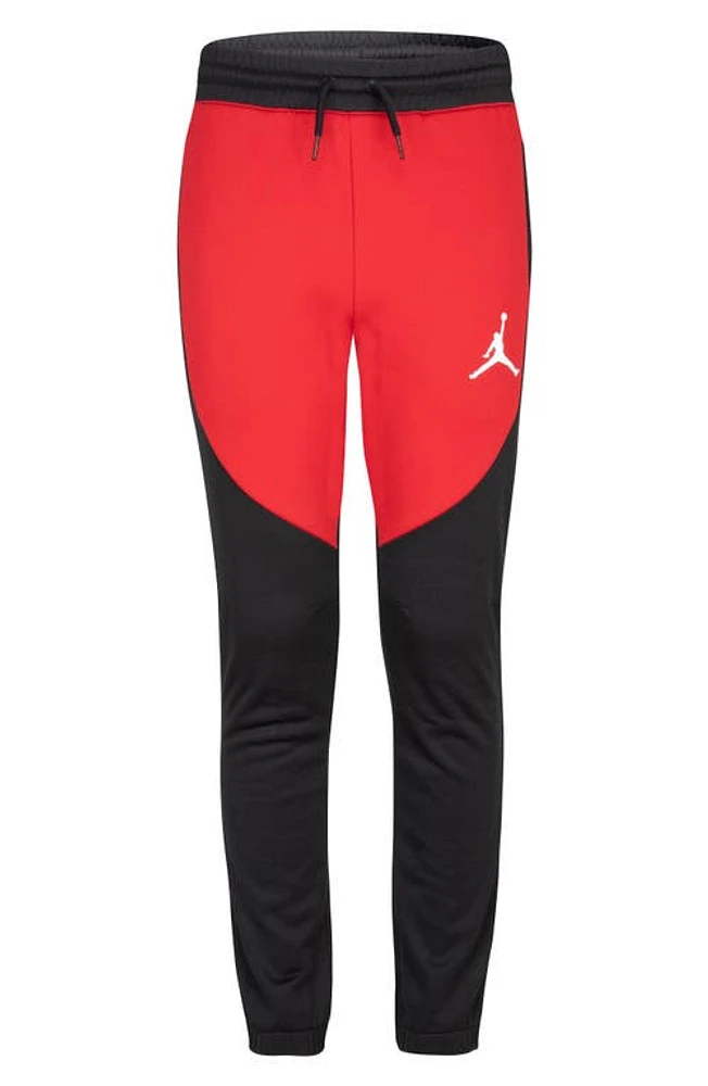 Jordan Kids' JDB Jumpman Sport Pants in Gym Red at Nordstrom, Size L