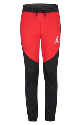 Jordan Kids' JDB Jumpman Sport Pants in Gym Red at Nordstrom, Size L