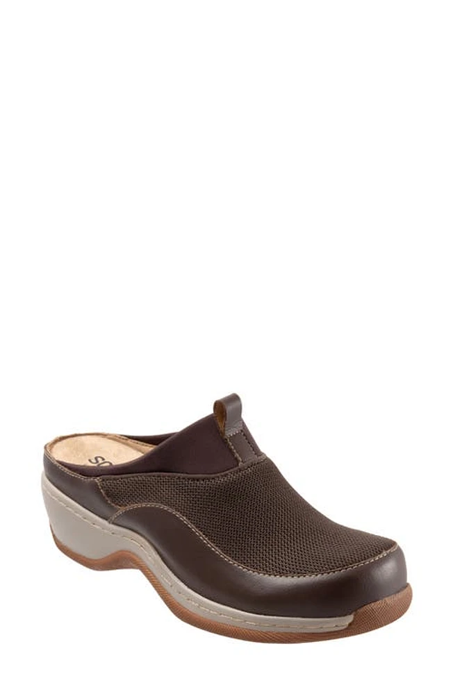 SoftWalk Aberdeen Mule Dk Brown at Nordstrom,