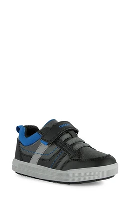 Geox Kids' Arzach Sneaker in Grey/Royal at Nordstrom, Size 3.5Us