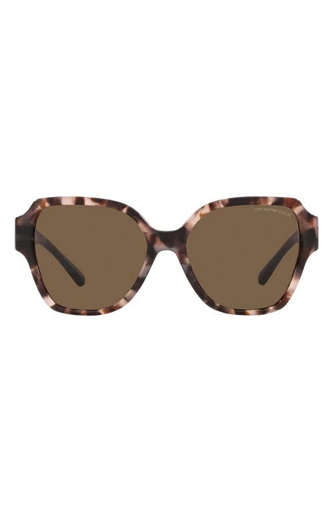 Emporio Armani 54mm Square Sunglasses in Dark Brown at Nordstrom