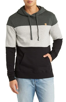 tentree Reynard Colorblock Hoodie Green at Nordstrom,