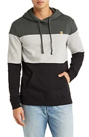 tentree Reynard Colorblock Hoodie Green at Nordstrom,