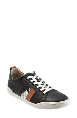 SoftWalk Athens Sneaker Black Multi at Nordstrom,