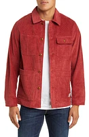 Schott NYC Corduroy Chore Jacket at Nordstrom,