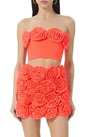 AFRM Este Rosette Strapless Crop Top Fiery Coral at Nordstrom,