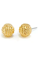 Brook and York Parker Knot Stud Earrings in Gold at Nordstrom