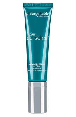 Colorescience Tint du Soleil SPF 30 Sunscreen Foundation in Deep at Nordstrom