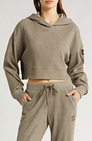 Alo Muse Rib Crop Hoodie at Nordstrom,