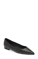 Cecelia New York Brie Stud Pointed Toe Flat Black at Nordstrom,