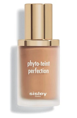 Sisley Paris Phyto-Teint Perfection Foundation in 6N Sandalwood at Nordstrom, Size 1 Oz