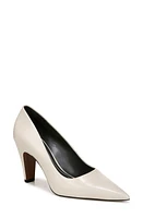 Sarto by Franco Sage Pointed Toe Pump at Nordstrom,