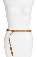 Ada 'Cala' Studded Skinny Leather Belt in Tan at Nordstrom