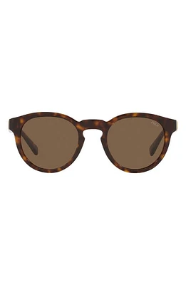 Polo Ralph Lauren 49mm Round Sunglasses in Shiny Hava at Nordstrom