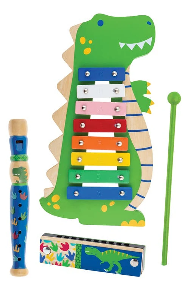 Stephen Joseph 4-Piece Dino Music Set at Nordstrom