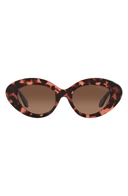 Armani Exchange 50mm Gradient Small Cat Eye Sunglasses in Havana Pink at Nordstrom