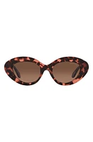 Armani Exchange 50mm Gradient Small Cat Eye Sunglasses in Havana Pink at Nordstrom